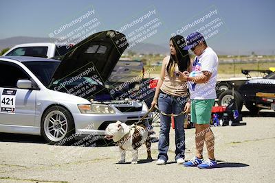 media/May-25-2024-Extreme Speed (Sat) [[ff5282e877]]/Around the Pits/